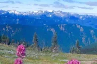 Seattle Olympic National Park Day Tour thumbnail 6