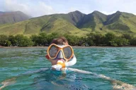 Maui Snorkeling Tour with Gear and Instructor 1.5 hr thumbnail 5