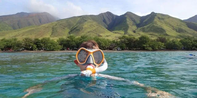 Maui Snorkeling Tour with Gear and Instructor 1.5 hr - Image 5