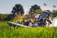 Orlando Airboat Tour & Gatorland Adventure thumbnail 2