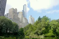 New York Central Park Adventure Tour 4 hr thumbnail 1