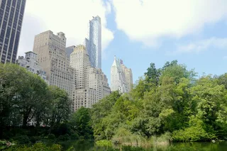 New York Central Park Adventure Tour 4 hr