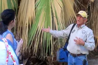 Joshua Tree National Park Scenic Tour thumbnail 4