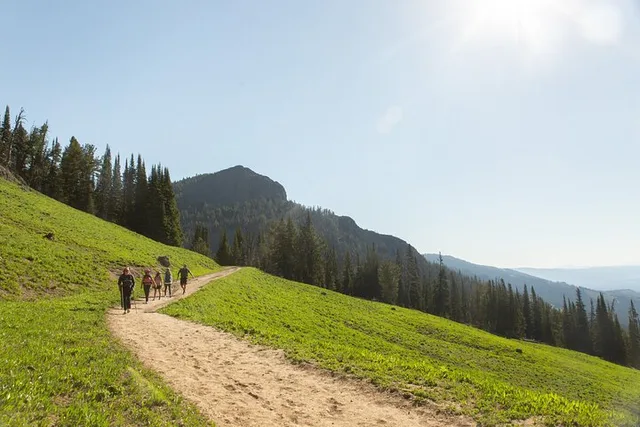 West Yellowstone Private Tour and Hike - Image 6
