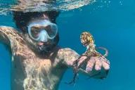 Maui Sea Scooter Snorkeling Tour at Turtle Town thumbnail 4