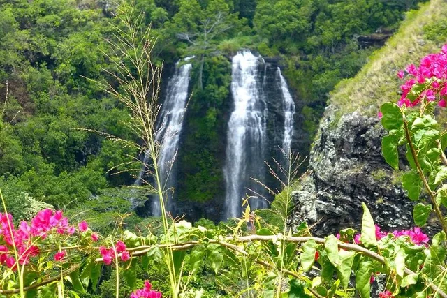 Kauai Eastside Waterfalls and Local Grinds Tour - Image 4
