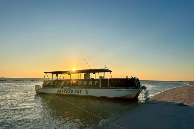 Florida Sunset Dolphin Boat Tour - Image 4