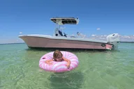 Shell Island Dolphin and Snorkeling Tour 3 hr thumbnail 3