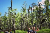 New Orleans Manchac Swamp Kayak Tour thumbnail 1