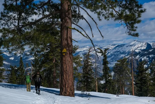 Yosemite Snowshoeing Adventure from Badger Pass - Image 2