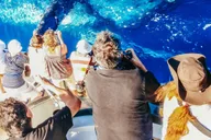 Newport Beach Whale Watching Tour 2 hr thumbnail 3