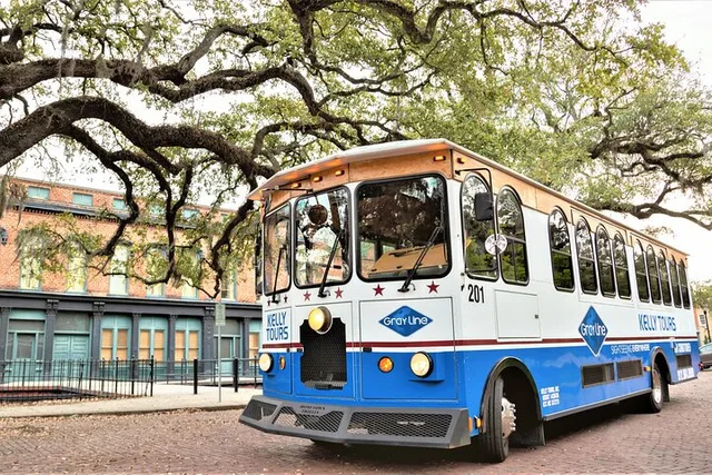 Savannah Land & Sea Combo: Trolley Tour with Riverboat Cruise - Image 6