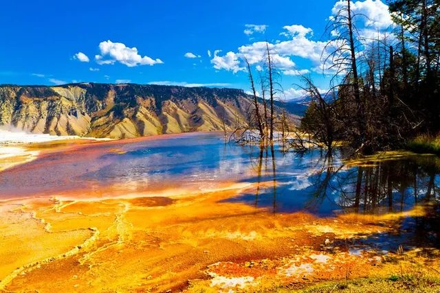 Sacramento to Yellowstone and Grand Teton 7-Day Tour - Image 1