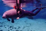 Crystal River Kayak and Swim with Manatees Tour 2.5 hr thumbnail 1