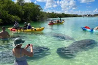 Fort Myers Beach Island Paddle Tour thumbnail 3