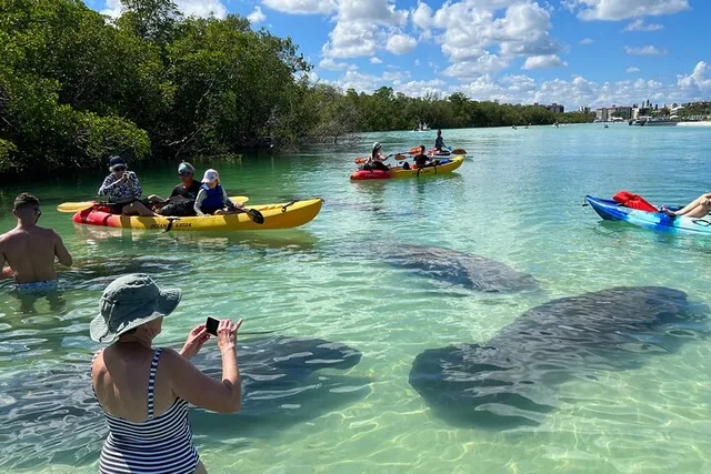 Fort Myers Beach Island Paddle Tour - Image 3