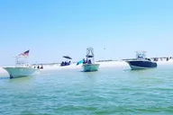 Sarasota Sandbar and Dolphin Watching Cruise thumbnail 2