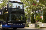 Nashville City Sightseeing Double-Decker Bus Tour thumbnail 2