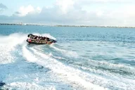 Miami Speed Boat Tour and Hard Rock Meal thumbnail 6