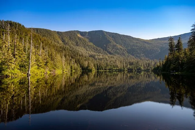 Ketchikan Alpine Overlook Adventure Trek - Image 2