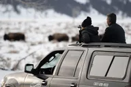 Jackson Wildlife and Snowshoe Tour in Grand Teton thumbnail 4