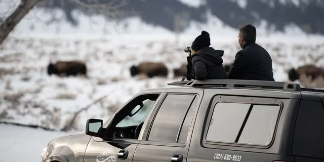 Jackson Wildlife and Snowshoe Tour in Grand Teton - Image 4