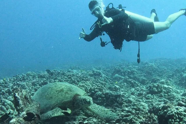 Honolulu Introductory Scuba Diving for Beginners - Image 6