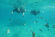 Fort Lauderdale Snorkeling Adventure 2 hr thumbnail 3