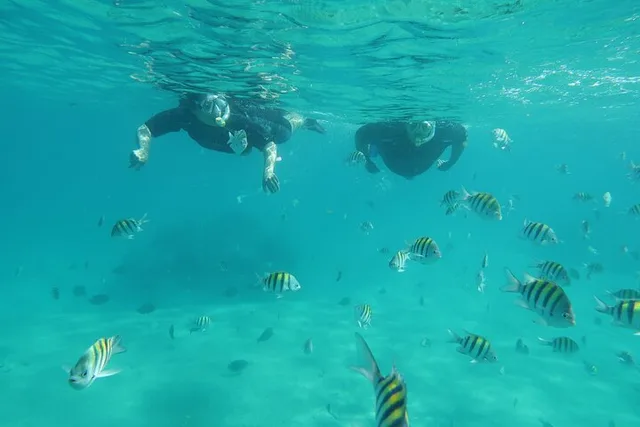 Fort Lauderdale Snorkeling Adventure 2 hr - Image 3
