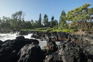 Maui Road to Hana Rainforest & Waterfall Tour thumbnail 3