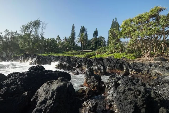 Maui Road to Hana Rainforest & Waterfall Tour - Image 3