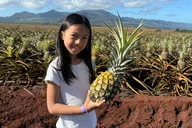 Oahu Pearl Harbor and Circle Island Tour thumbnail 5