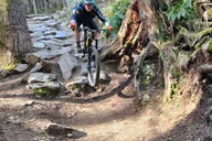 Seattle Mountain Bike Tour in Cascade Foothills thumbnail 2