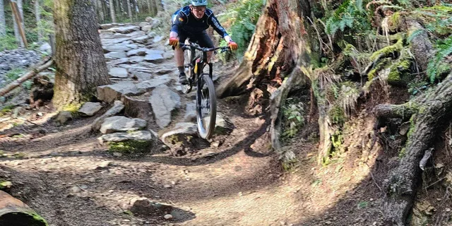 Seattle Mountain Bike Tour in Cascade Foothills - Image 2
