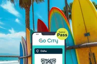 Oahu Explorer Pass: Waikiki Cruise thumbnail 1