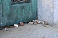 Savannah Haunted and Historical Walking Tour thumbnail 4