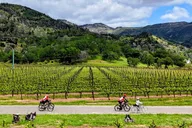 Napa and Sonoma Bicycle Tour thumbnail 5