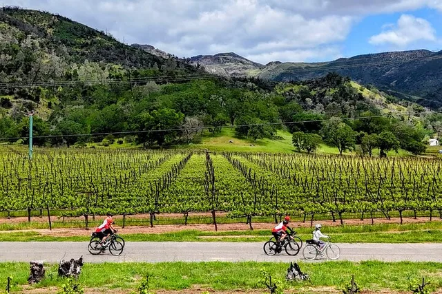 Napa and Sonoma Bicycle Tour - Image 5