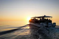 St. Pete Dolphin Watching and Island Sunset Cruise thumbnail 2