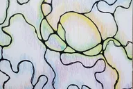 San Jose Stress-Relief Drawing Class thumbnail 5