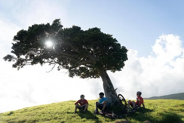 Big Island Mountain Biking on Anna Ranch - Image 6