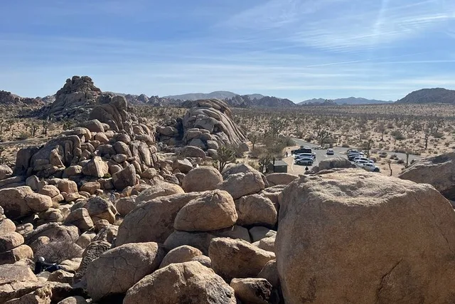 Joshua Tree National Park Sightseeing Tour - Image 3