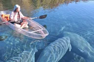 Silver Springs Manatees and Monkeys Kayak Tour thumbnail 3
