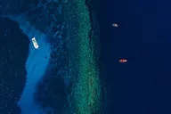 Maui Molokini Snorkel Trip 2 Hr thumbnail 6
