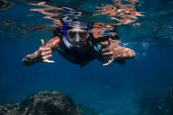 Wailea Snorkeling Experience for First Timers thumbnail 2