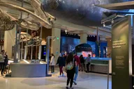 Washington DC Smithsonian Museum of Natural History Tour 2 hr thumbnail 6