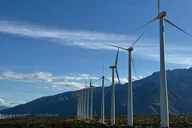 Palm Springs Windmill Golf Cart Tour thumbnail 6