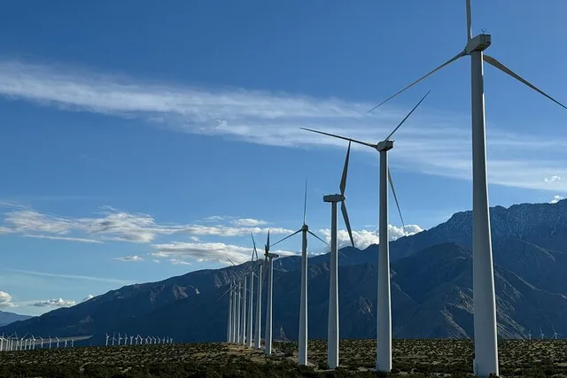 Palm Springs Windmill Golf Cart Tour - Image 6