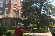 Charleston History Walking Tour thumbnail 2