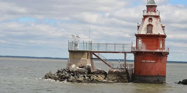 Cape May Lighthouse Cruise - Image 5